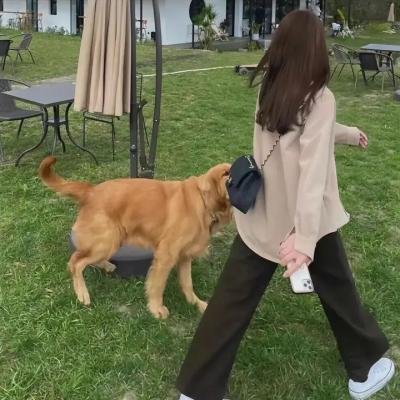 完美先生和差不多小姐
